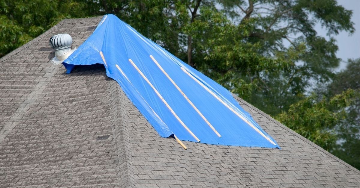 Hero - 2025-11-24T105729.791